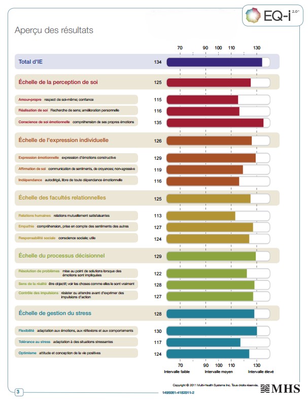 Test d'Intelligence Emotionnelle