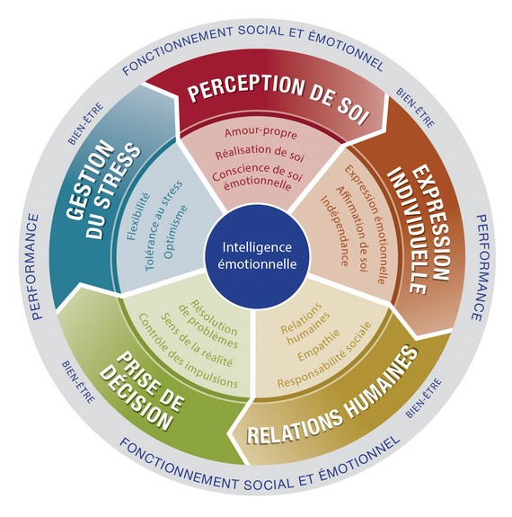 Test d'Intelligence Emotionnelle